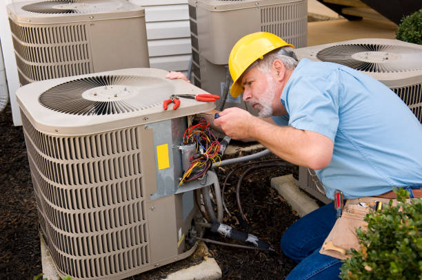 Best HVAC Repair Near Me  in Cass City, MI