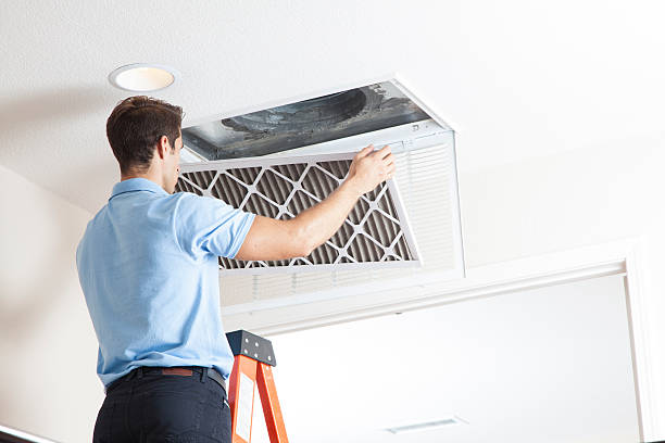 Best Residential HVAC Services  in Cass City, MI